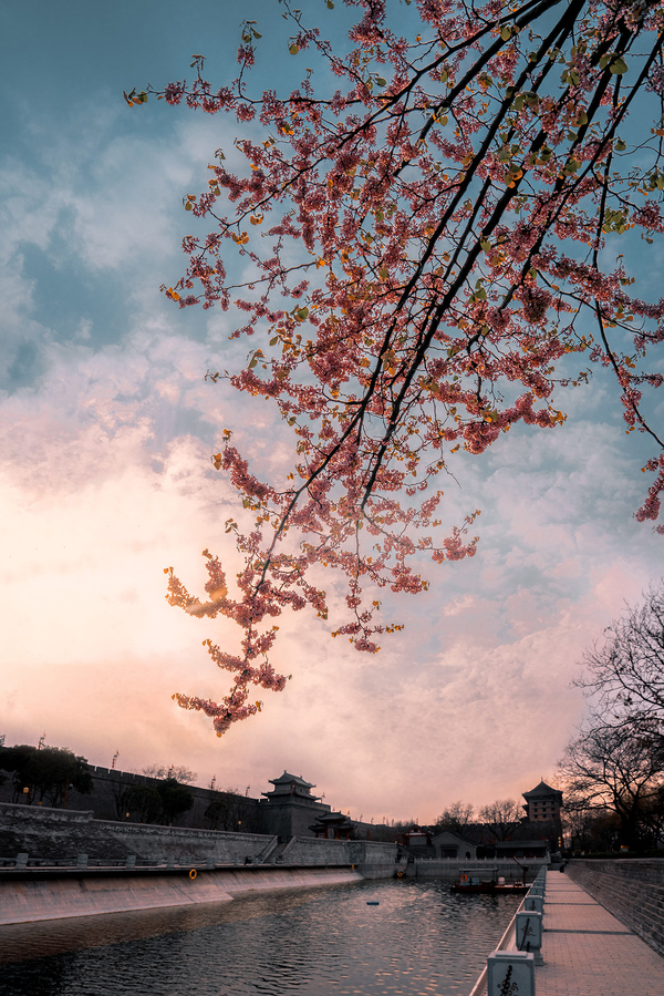 春日夕陽下的護城河.jpg